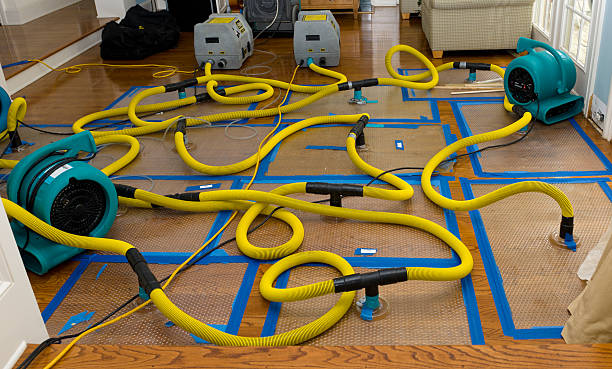 Professional Flood Damage Restoration technician working in Strasburg, VA